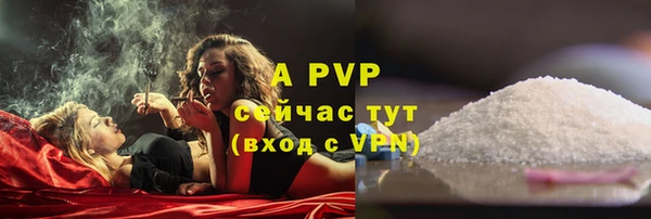 дживик Арсеньев
