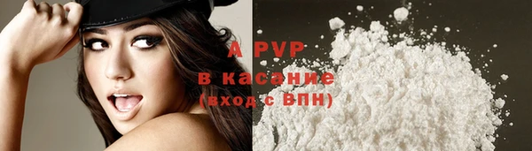 дживик Арсеньев